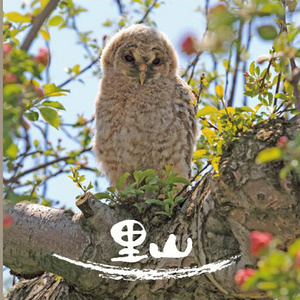 いっしょに見た風、歩いた道 (一同见过的风与走过的路)