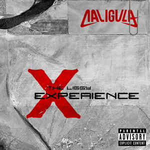 The Liggy Experience (Explicit)