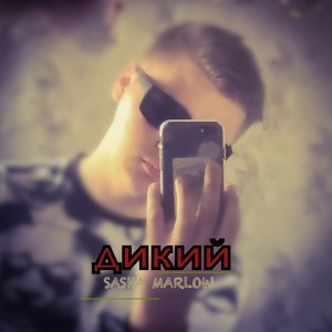 Дикий (Explicit)