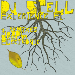 Experience-2 (Modul Rework)