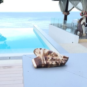 人生的旋转木马 - 选自《哈尔的移动城堡》 )