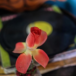 Despojo(Do-Re-Mi-Fa-Sol)[feat. Miguel Zenon & Henry Cole]