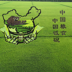 大国粮仓现场版
