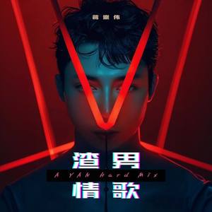 渣男情歌 (阿岩 Hard Mix)