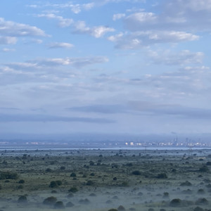 Designer Freestyle (Explicit)