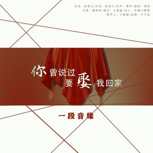 你曾说过要娶我回家