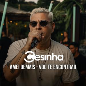 Amei Demais / Vou te Encontrar