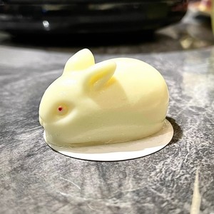 小白兔圆舞曲 (四手联弹)