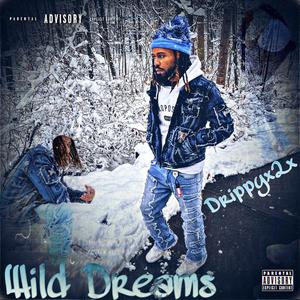 Wild Dreams (Explicit)