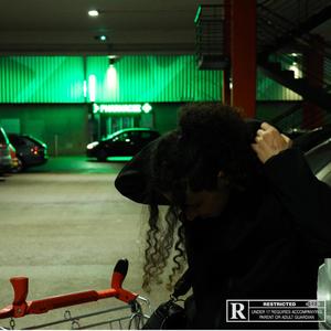 NE PAS DERANGER (Explicit)