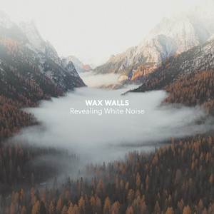 Revealing White Noise