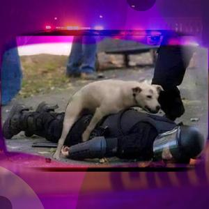 Conto de Fardas (feat. Type Nigga) (Explicit)