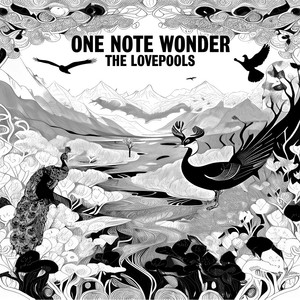 One Note Wonder