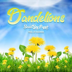 Dandelions