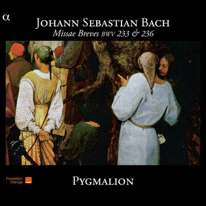 Missa Brevis in G Major, BWV 236 - Missa Brevis in G Major, BWV 236: IV. Domine Deus