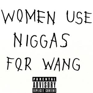 Women Use Niggas For Wang (Explicit)