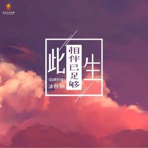 此生相伴已足够 (Dj翊轩版)