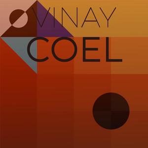 Vinay Coel