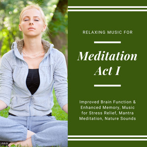 Meditation Act I (Relaxing Music For Improved Brain Function & Enhanced Memory, Music For Stress Relief, Mantra Meditation, Nature Sounds)