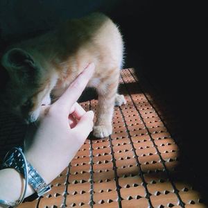 记念 (翻自 雷雨心)