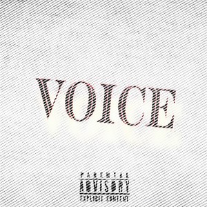 Voice (Explicit)