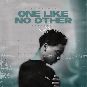 ONE LIKE NO OTHER CHAPTER 2