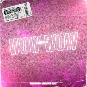 Wow Wow(Reggaeton) (Remix|Explicit)