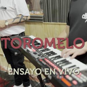 Toromelo