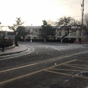冬