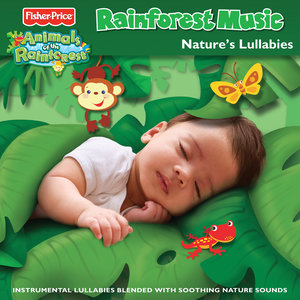 Rainforest Music: Nature's Lullabies