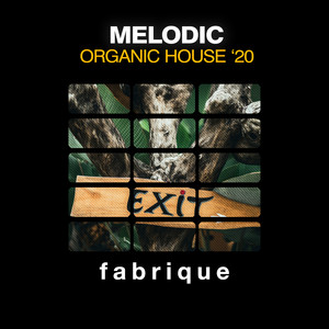 Melodic Organic House '20