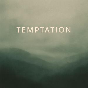 TEMPTATION (Ambient Mix)