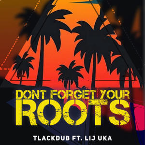 DONT FORGET YOUR ROOTS (feat. LIJ UKA) (Explicit)