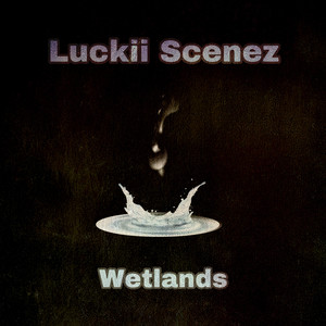 WetLands (Explicit)