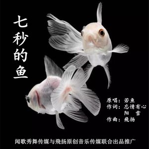 七秒的鱼
