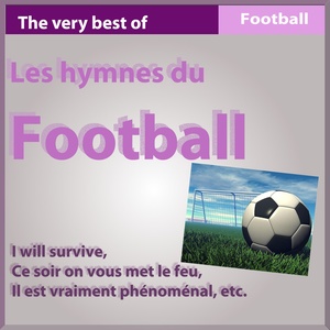 Les hymnes du football (The Very Best of Football Songs)