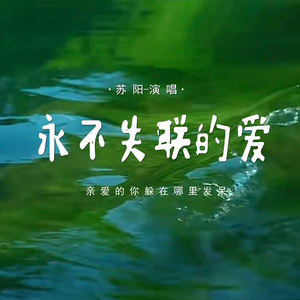 永不失联的爱 (亲爱的你躲在哪里发呆)