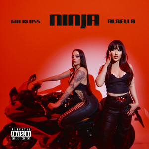 Ninja (Explicit)