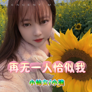 再无一人恰似我