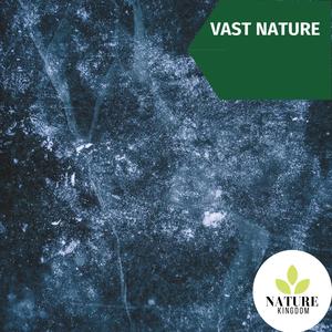 Vast Nature