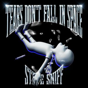 Tears don't fall in space (Explicit)