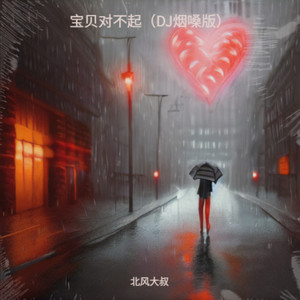 宝贝对不起-北风大叔
