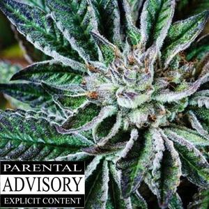 Kush Heaven (Explicit)