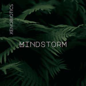 Mindstorm