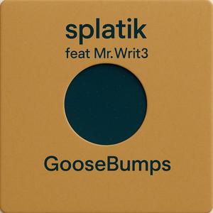 Goose Bumps (feat. Mr. Writ3)