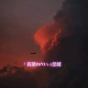 我要的不是暧