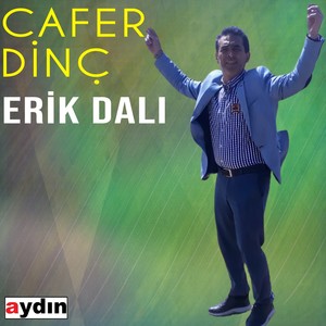 Erik Dalı