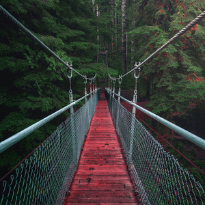 Blooom - Every One Need Child