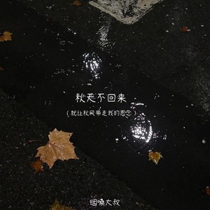 秋天不回来(就让秋风带走我的思念)
