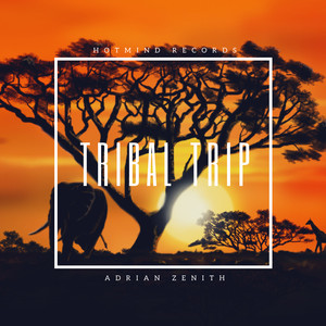 Tribal Trip (Original Mix)